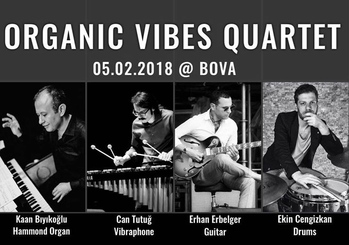 Organic Vibes Quartet