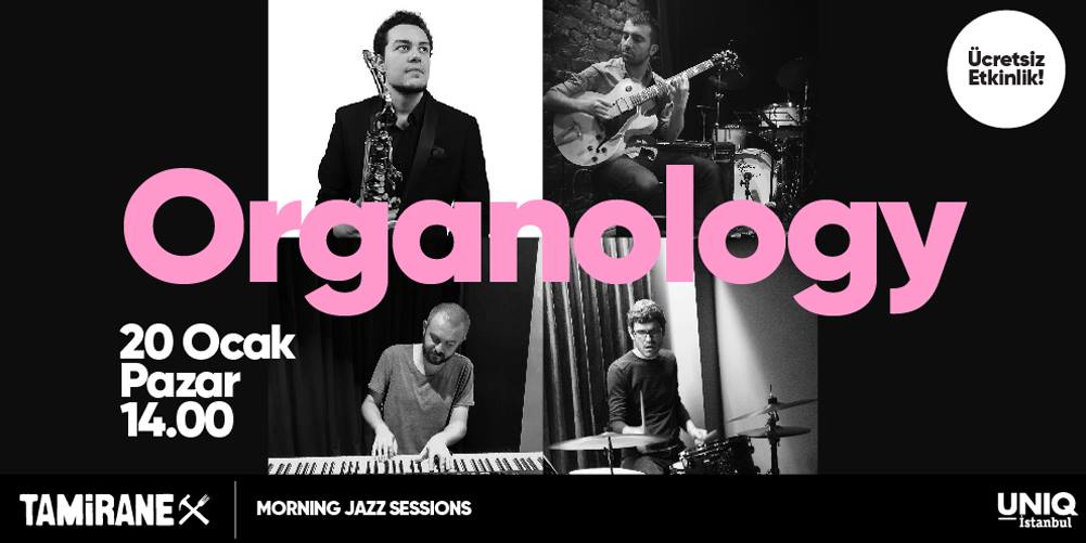 Morning Jazz Sessions / Organology