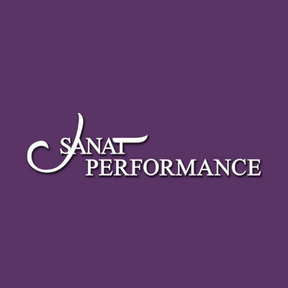 Sanat Performance